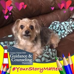 Meet your Posher, Angela